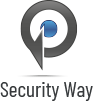pt logo3.png